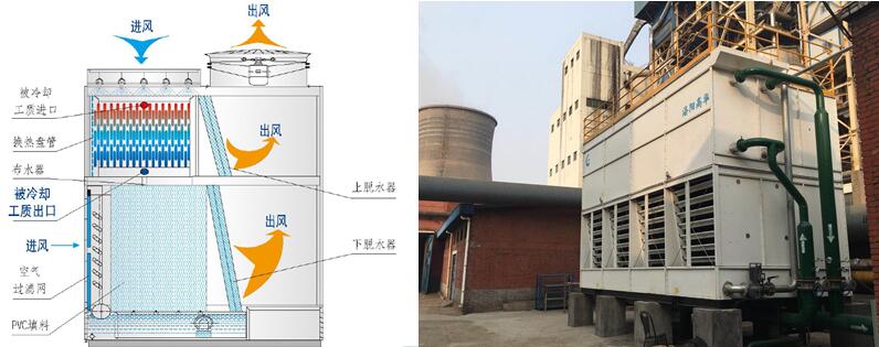 1544423990424967.jpg 2.jpg